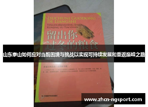 山东泰山如何应对当前困境与挑战以实现可持续发展和重返巅峰之路