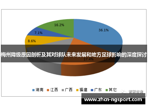 梅州降级原因剖析及其对球队未来发展和地方足球影响的深度探讨